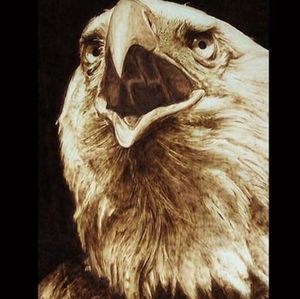 wood pyrography eagle
